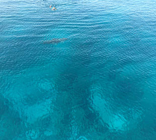 Schnorcheln Makadi Bay