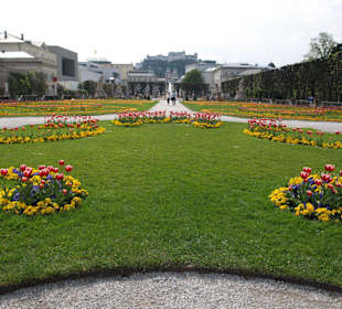 Frühling in Salzburg
