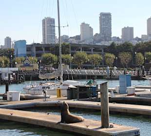 ...alleine auf dem Podest