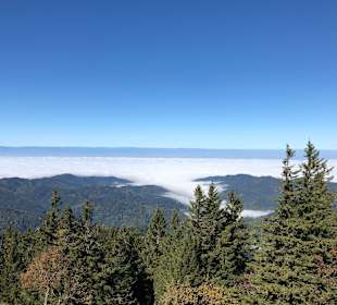Belchen