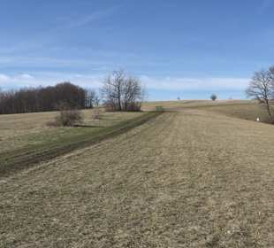 Filsenberg