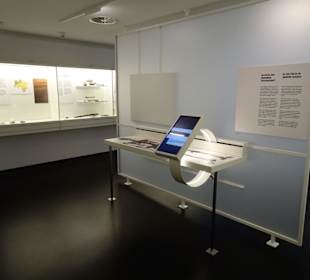 In der Abteilung des Moorleiche