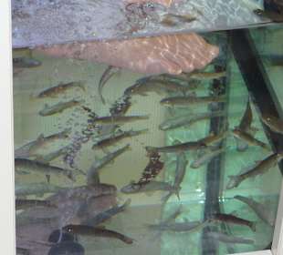 Eine Wohltat für die Füße!