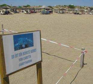 Naturschutz für Schildkrötengelege