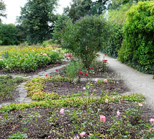 Eindrücke aus dem herbstlichen Rosengarten