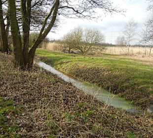 Naturschutzgebiet Boberger Niederung
