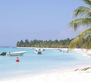 Saona