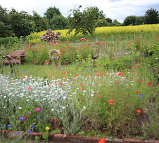 Windmühle Fortuna Bauerngarten