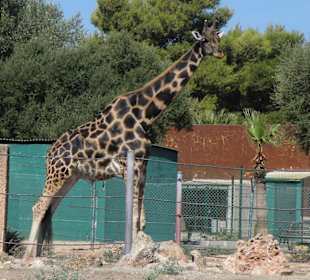Safari Park