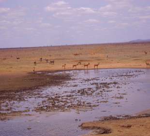 Das Wasserloch ist ein kleiner See