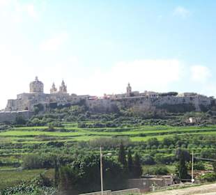 Blick auf Mdina