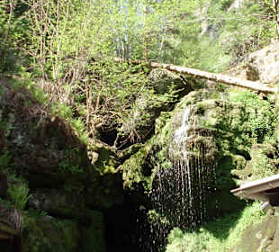 Amselfall