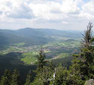 Osserwiese
