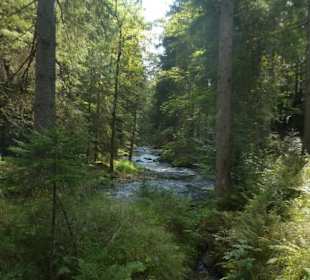 Wunderbare Wanderung am Großen Regen