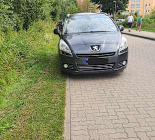 Angelegter Grünstreifen 30,€ Gebühr