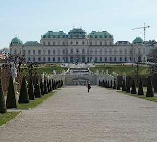 Oberes Belvedere