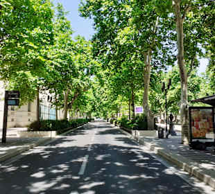 Avenue Feuchères