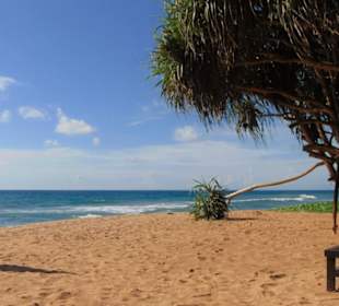 Induruwa Beach