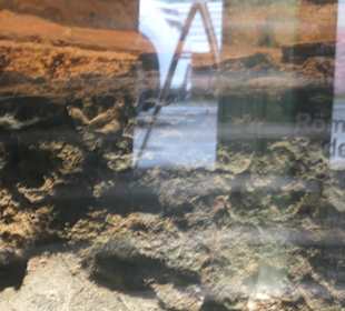 Blick durch ein Schaufenster zu den Baderuinen