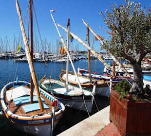 Rundgang durch den Yachthafen von Bandol