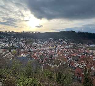 Ausblick Burg Wertheim