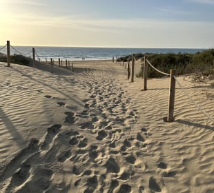 Dünen von Maspalomas