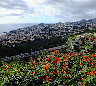 Blich auf Funchal