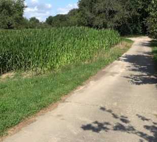 Hochgehnießen - Premiumspazierwanderweg