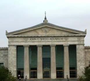 Shedd Aquarium Chicago
