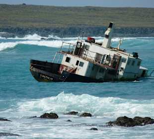 Gestrandet in der Hafeneinfahrt