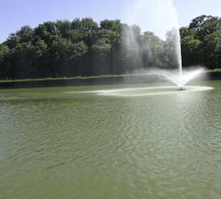 Großer Garten