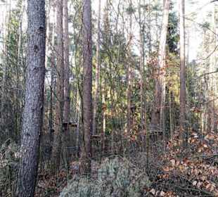 Ganz hinten neuer Bereich