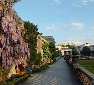 Im Mirabellgarten