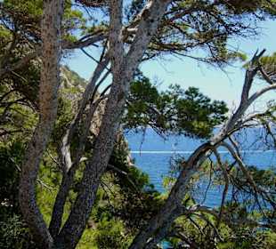 Auf dem Weg zur Höhle