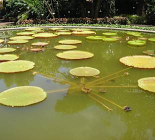 Herrliche Teichanlage