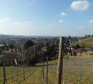 Oberkirch Weinwanderung