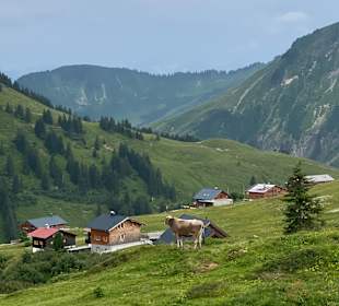 Wandern Damüls