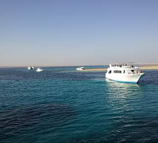 Ausflug Utopia Island- schnorcheln