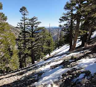 Горы Сан-Габриэль - все выше и выше