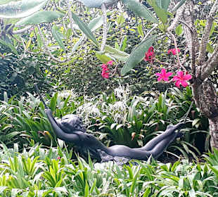 Botanischer Garten