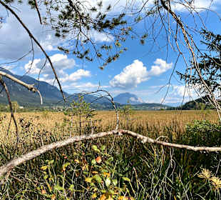 Wandern Hermagor - Pressegger See