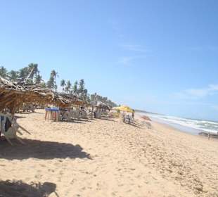 Strand bei Praia do Forte (nördlich)