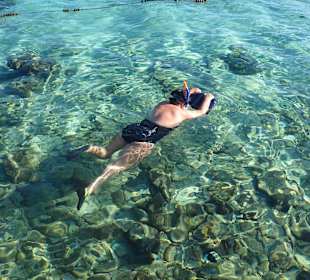 Glasklares Wasser beim schnorcheln