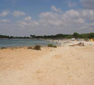 Super Strand