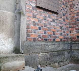 Tablica Katedry oraz Krasnal.