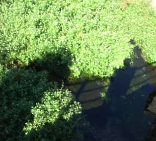 Gestütshof Offenhausen