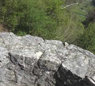Ruine Maisenburg