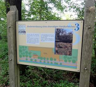 Station auf dem Moorerlebnispfad