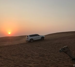 Wüstentour Dubai