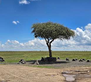Ol Pejeta Rhino Friedhof